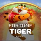 Fortune Tigre